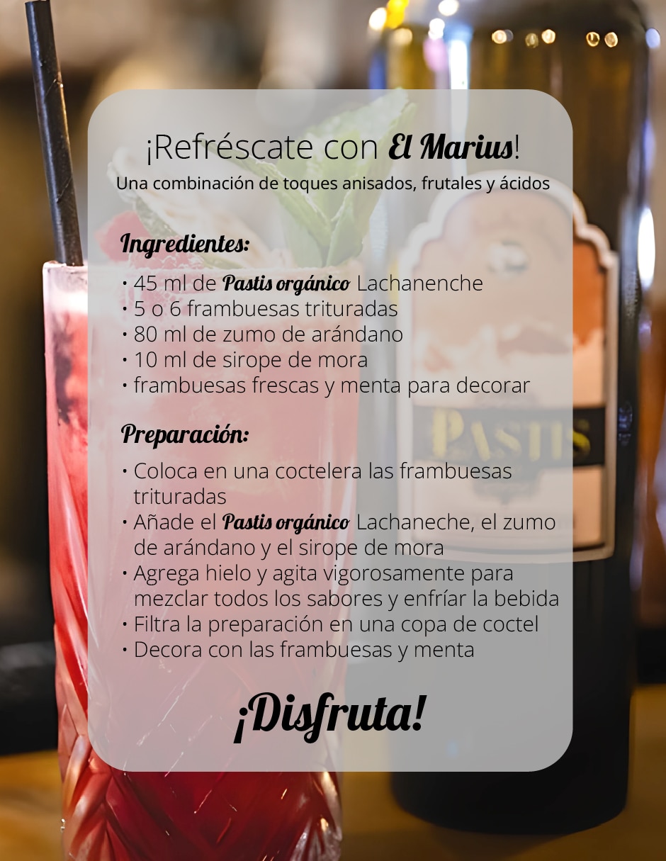 Licor aperitivo de anís estrellado sabor especiado Pastis La Roche Bénite 700 ml 5