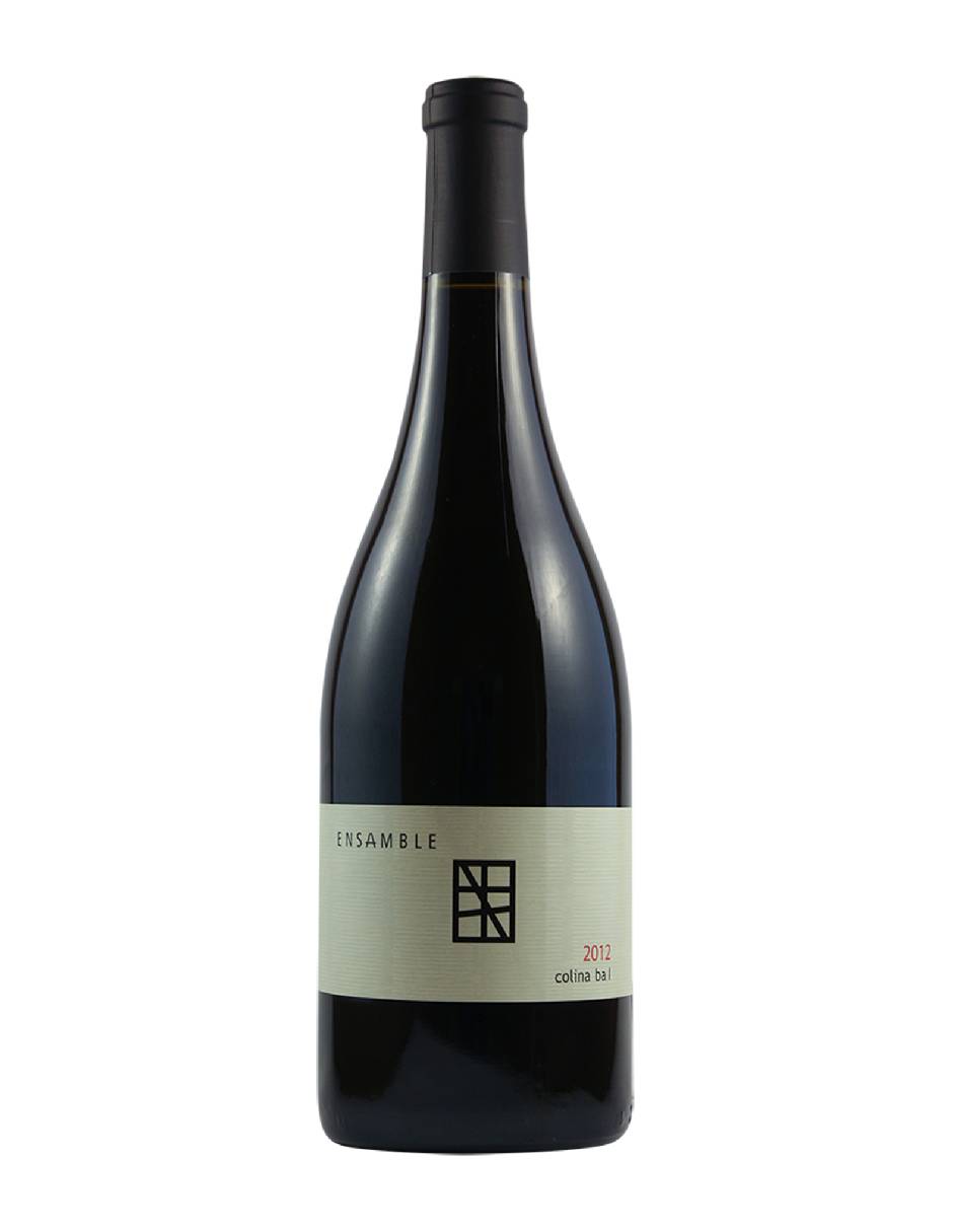Vino tinto Cabernet Sauvignon 750 ml