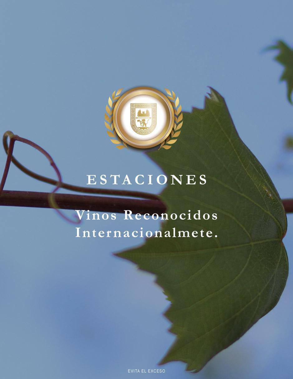 Set vino tinto Estaciones varietal 750 ml 7
