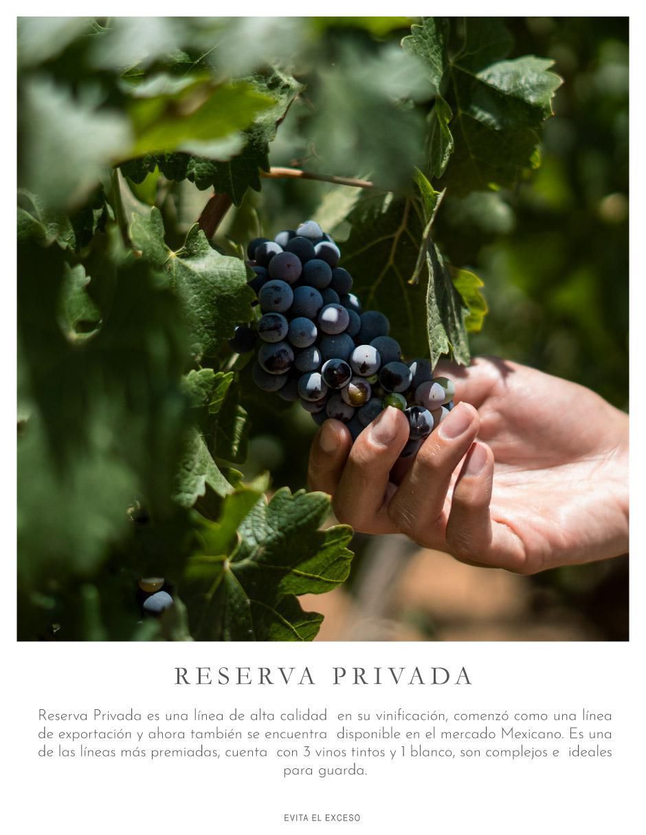 Set vino tinto Reserva Privada varietal 750 ml 6