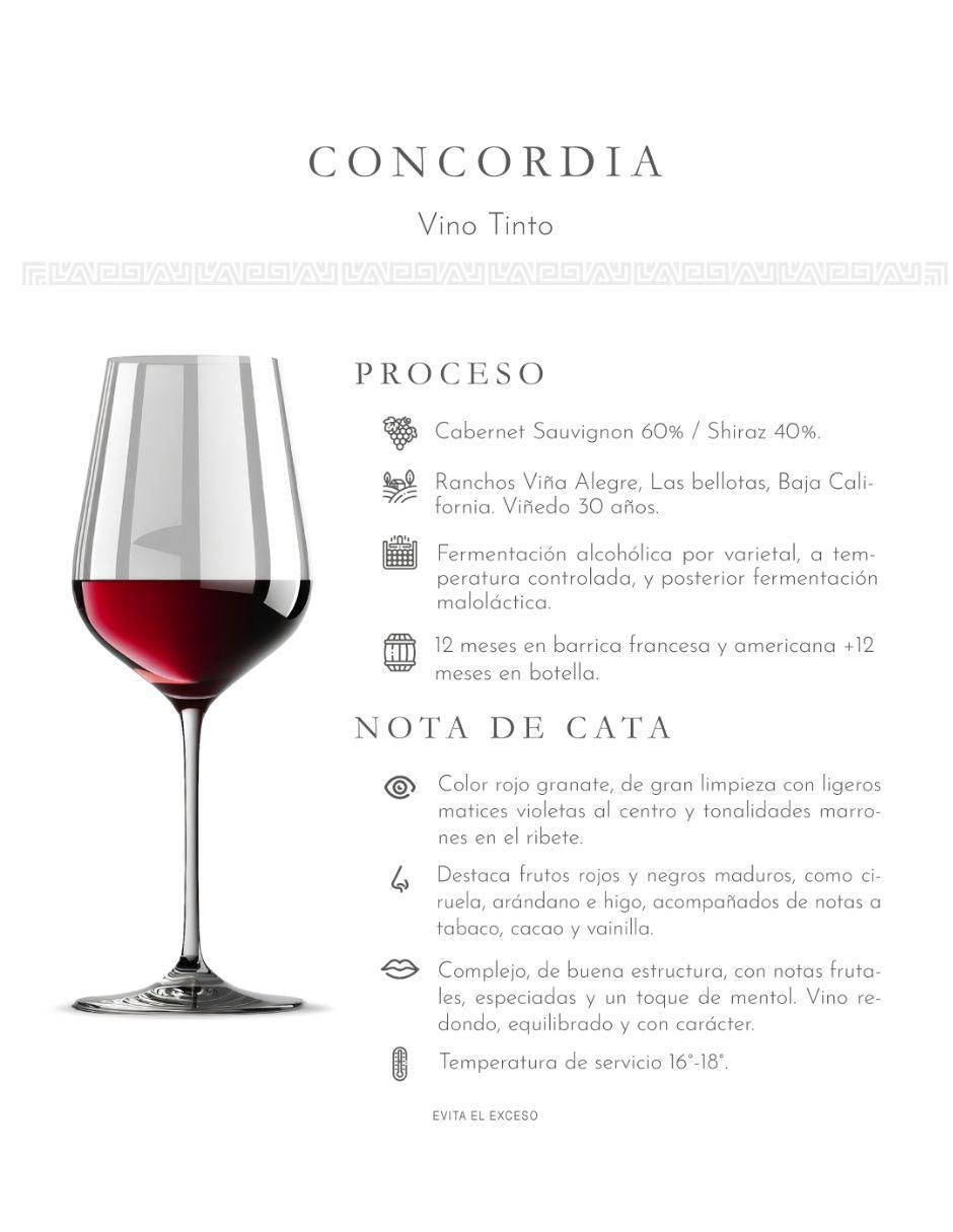 Vino tinto Don Luis  Cabernet Sauvignon 750 ml 2
