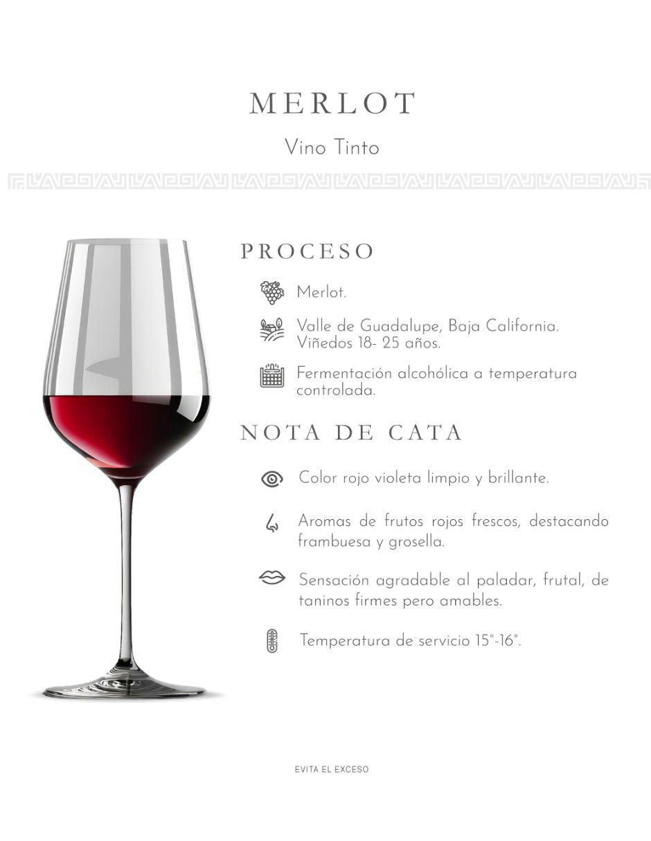 Set vino tinto Línea Clásica Merlot 750 ml 2