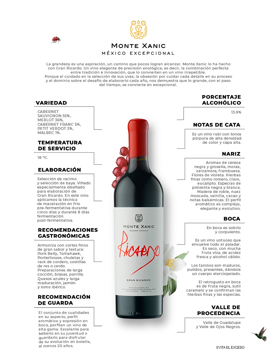 Vino tinto Gran Ricardo edición de arte varietal 750 ml 3