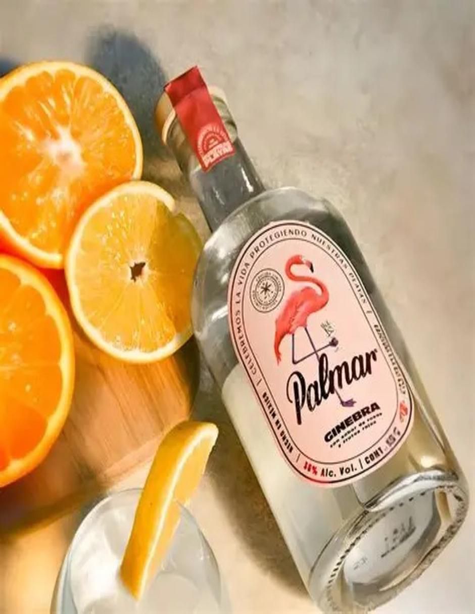 Ginebra Palmar 750ml 2