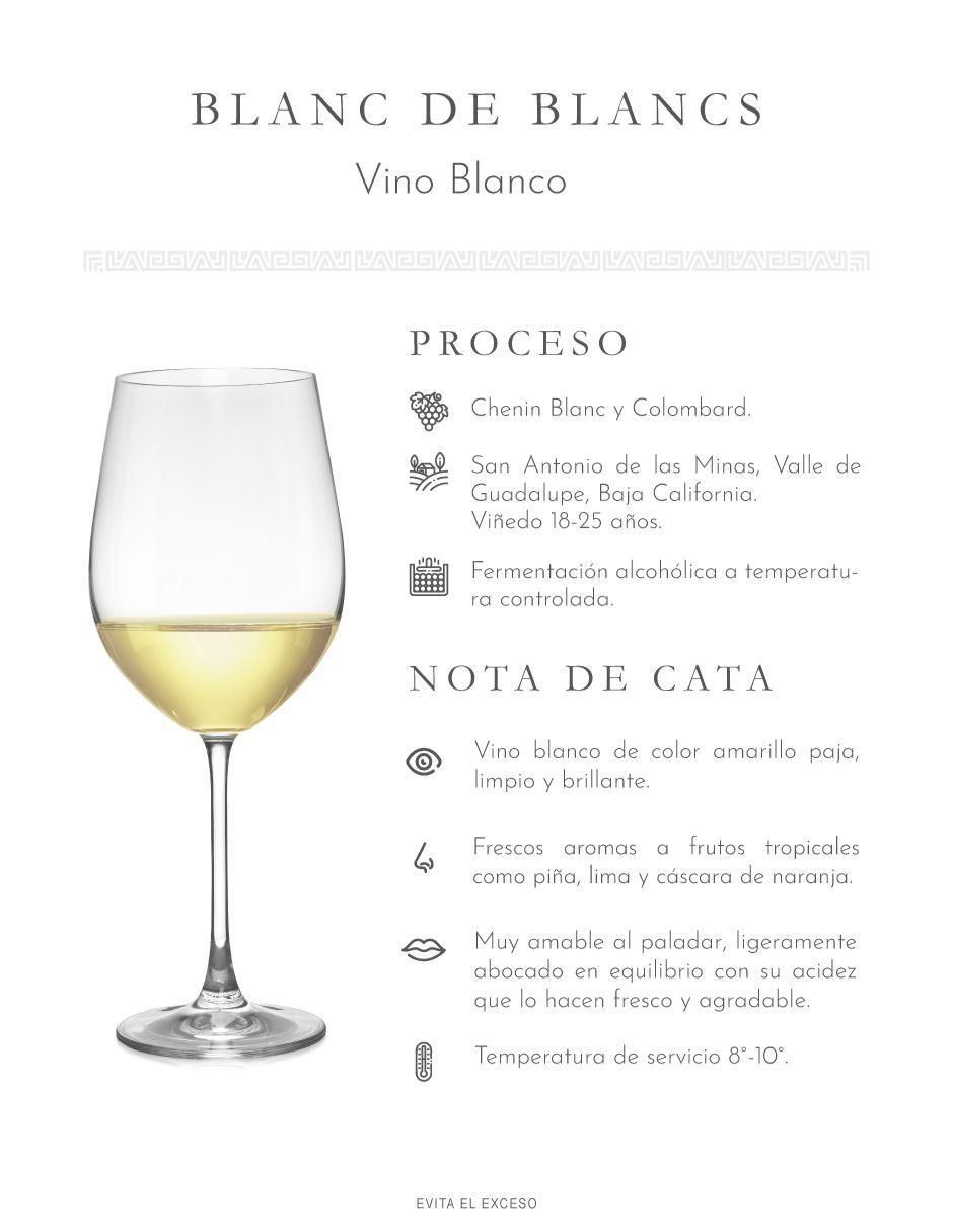 Set vino blanco línea clásica Chenin Blanc 750 ml 4