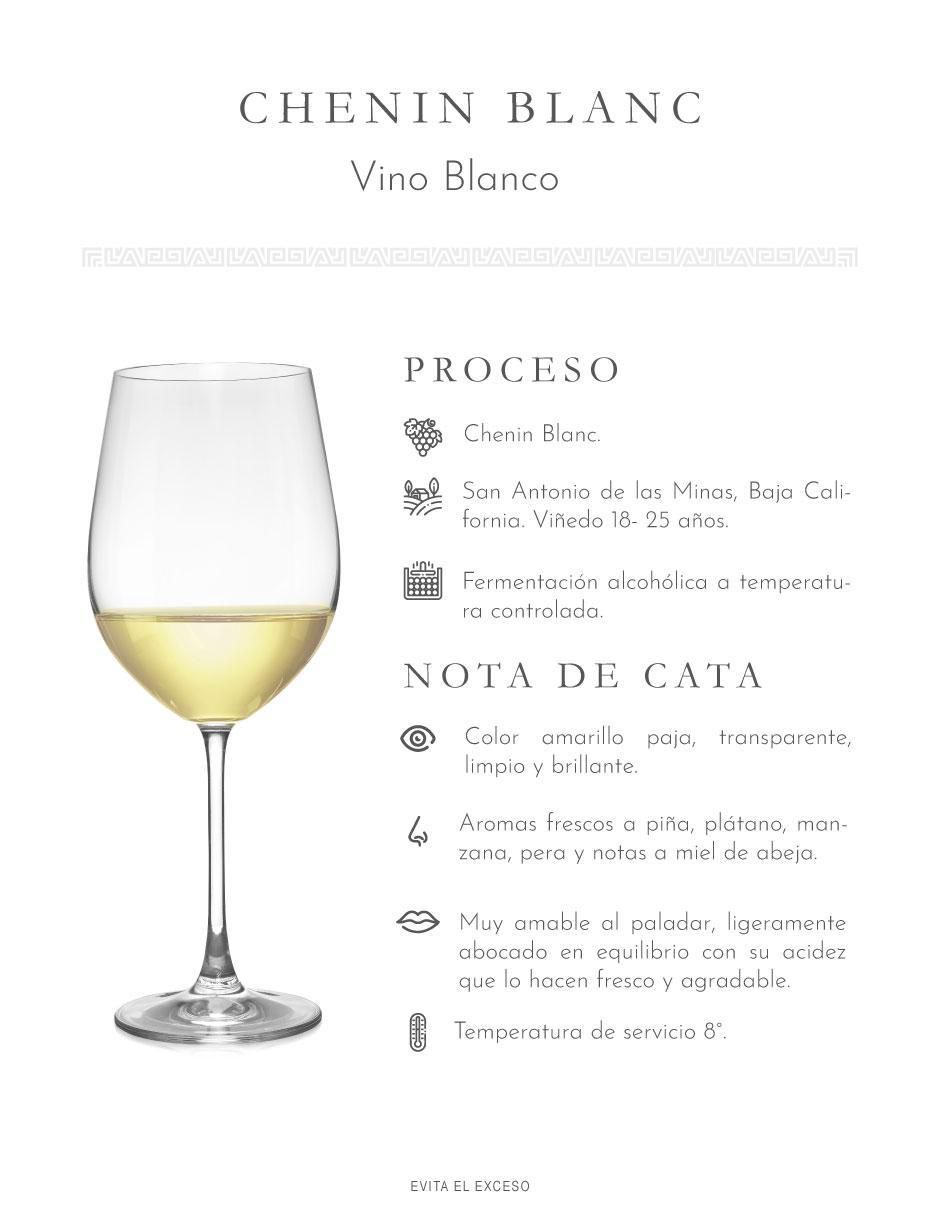Set vino blanco línea clásica chenin blanc 750 ml 2