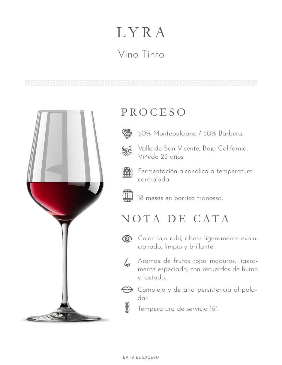 Set vino tinto Península montepulciano 750 ml 2