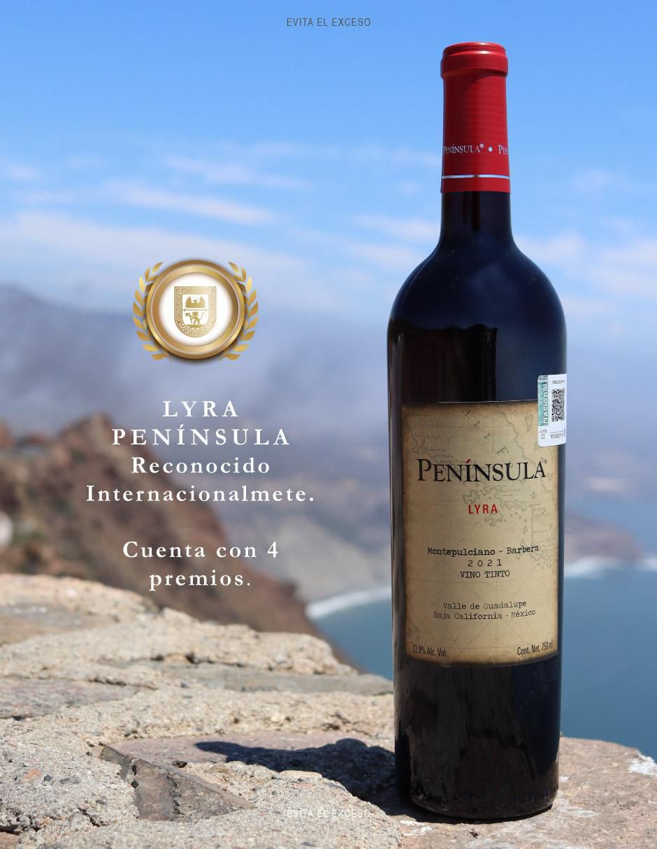 Set vino tinto Península montepulciano 750 ml 4