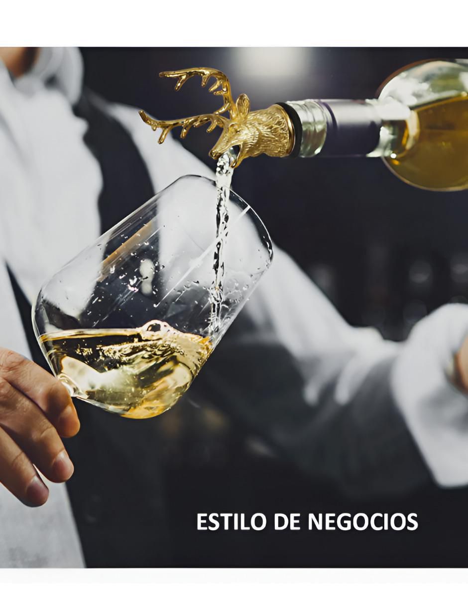 Set de tapón para botella 2