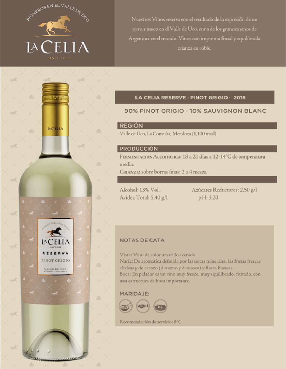 Vino blanco chardonnay Reserva Argentina 750 ml 3