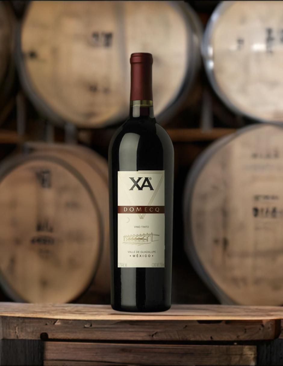 Vino tinto Domecq cabernet sauvignon 3