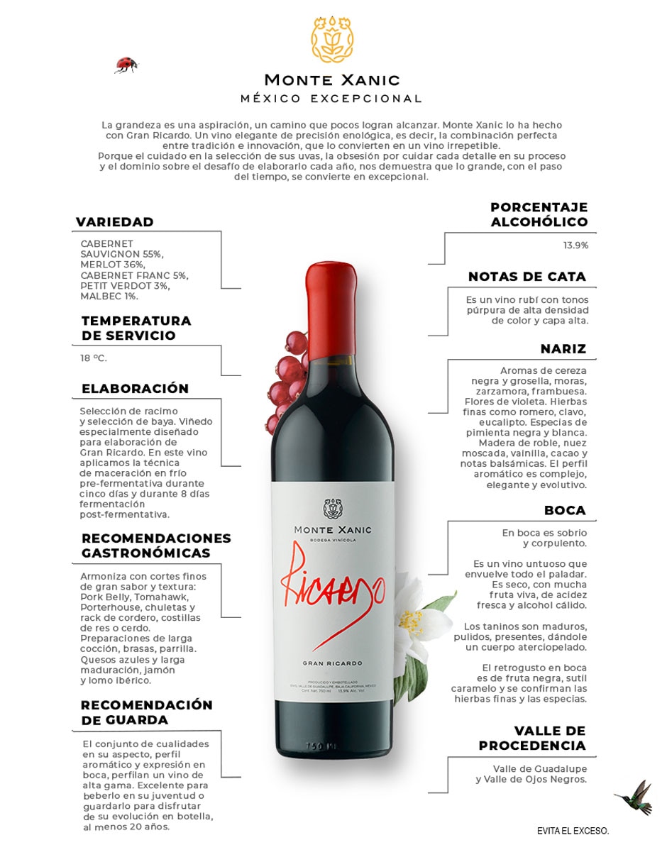 Vino tinto Gran Ricardo cabernet-merlot 4