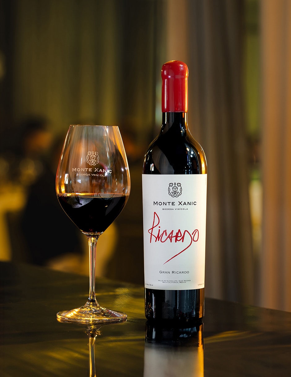 Vino tinto Gran Ricardo cabernet-merlot 6