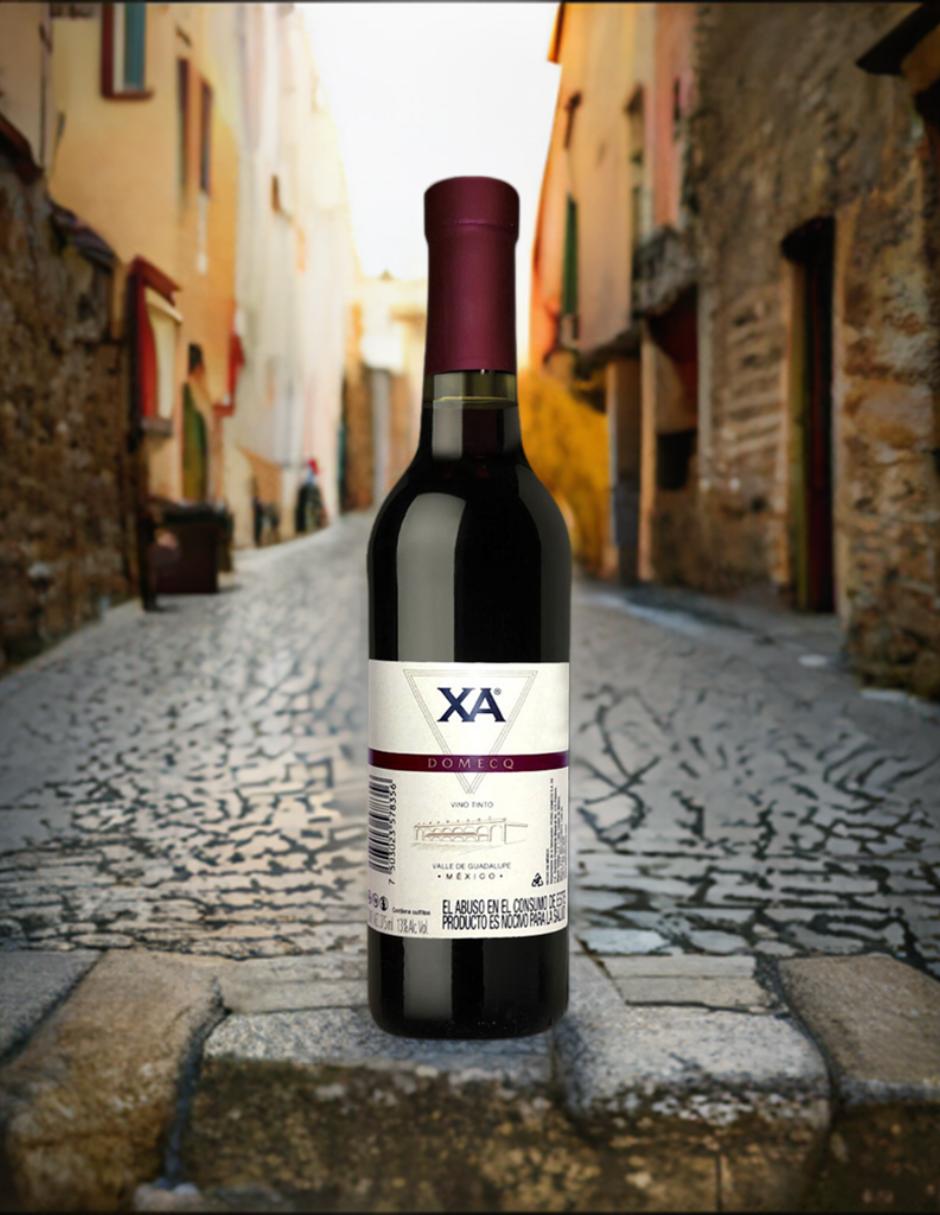 Vino tinto Domecq cabernet sauvignon