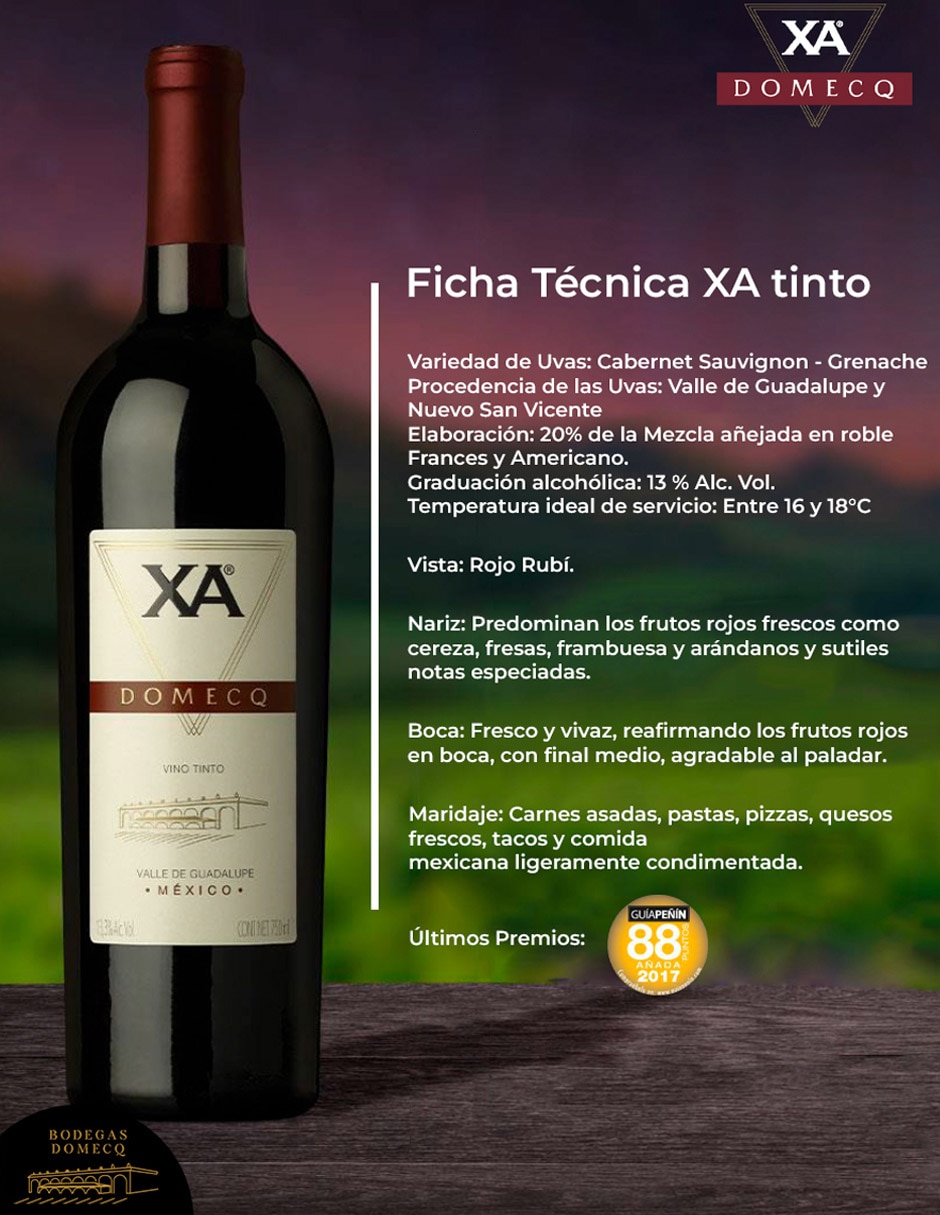Vino tinto Domecq cabernet sauvignon