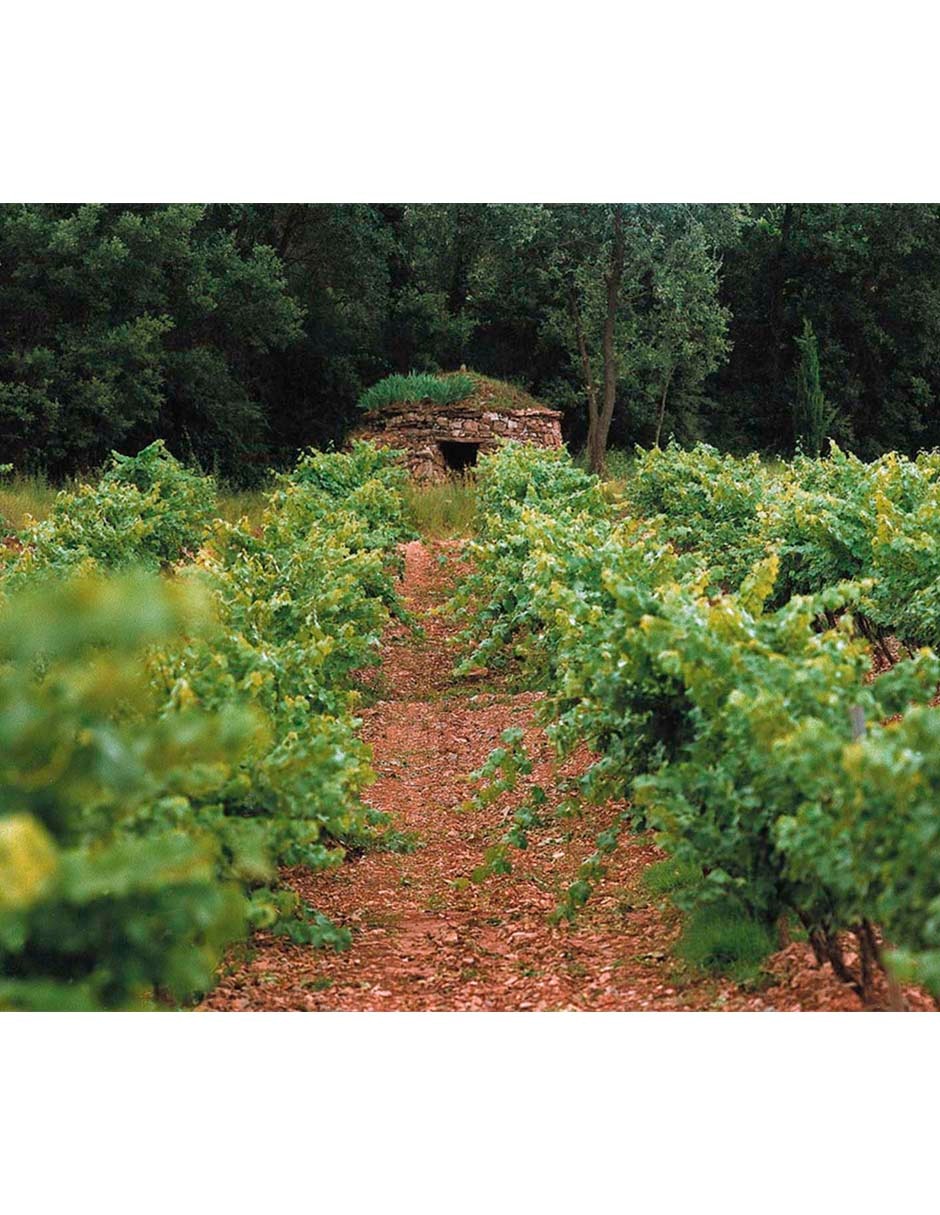 Vino Tinto Cabernet tempranillo 750 ml 2
