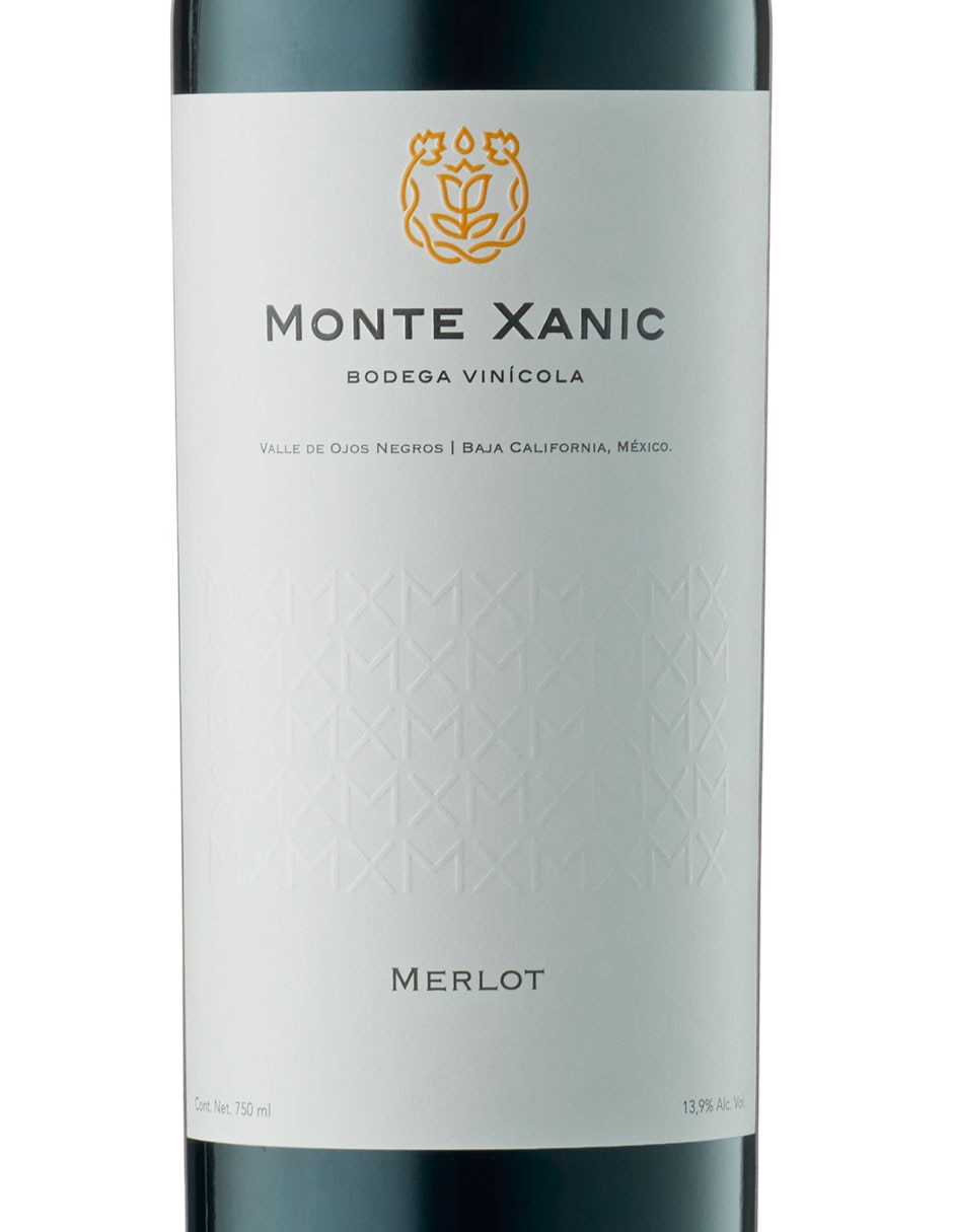 Vino tinto merlot 750 ml 2
