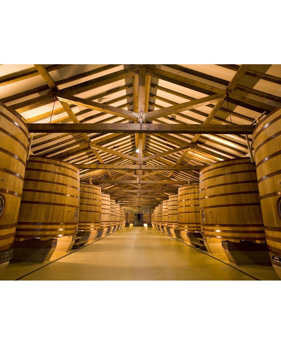 Vino tinto Crianza tempranillo