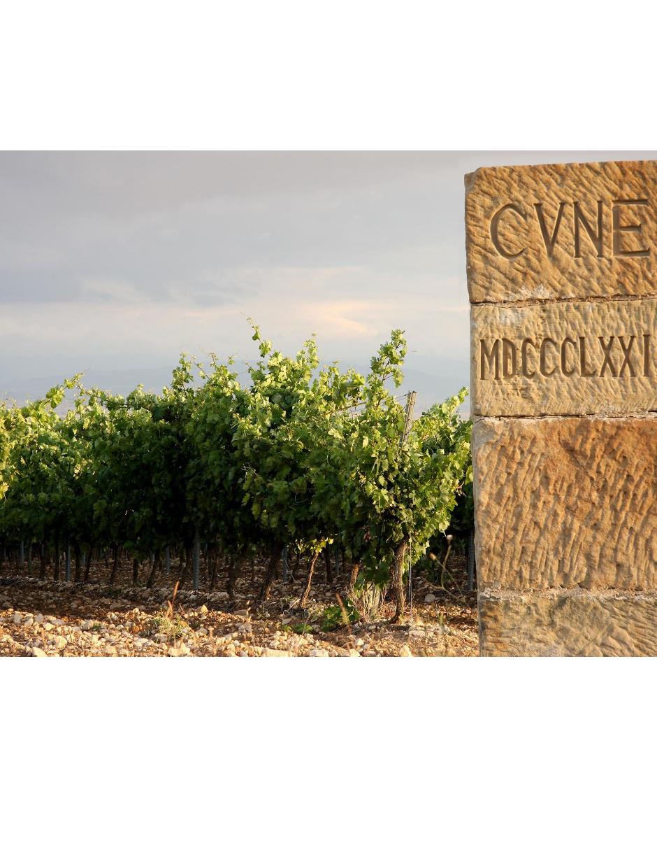 Vino tinto Crianza tempranillo