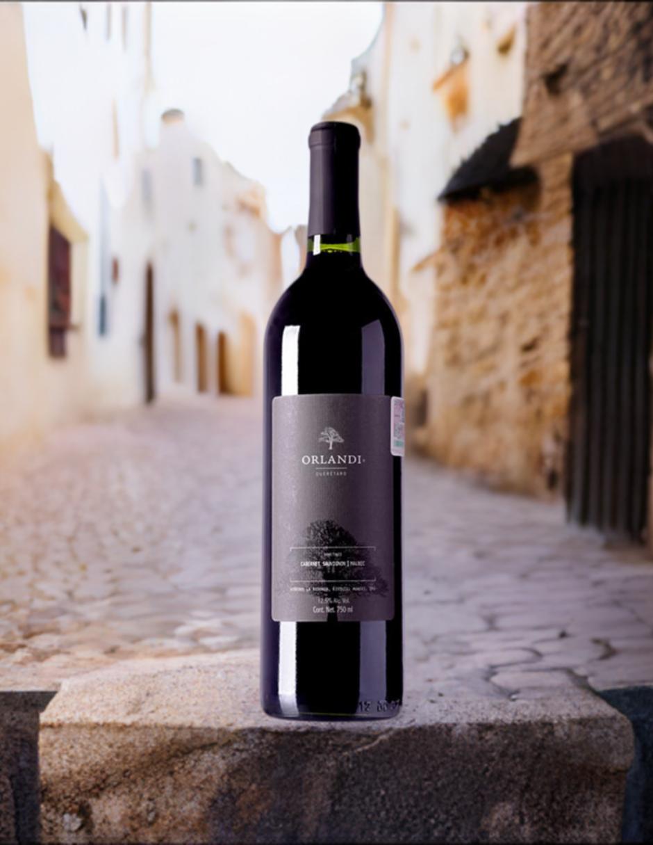 Vino tinto Orlandi cabernet-malbec 750 ml 2