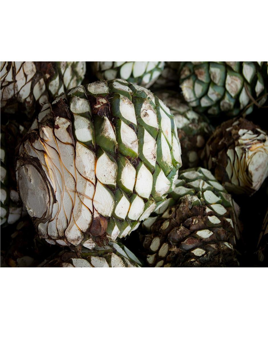 Tequila tipo Reposado 200 ml 4